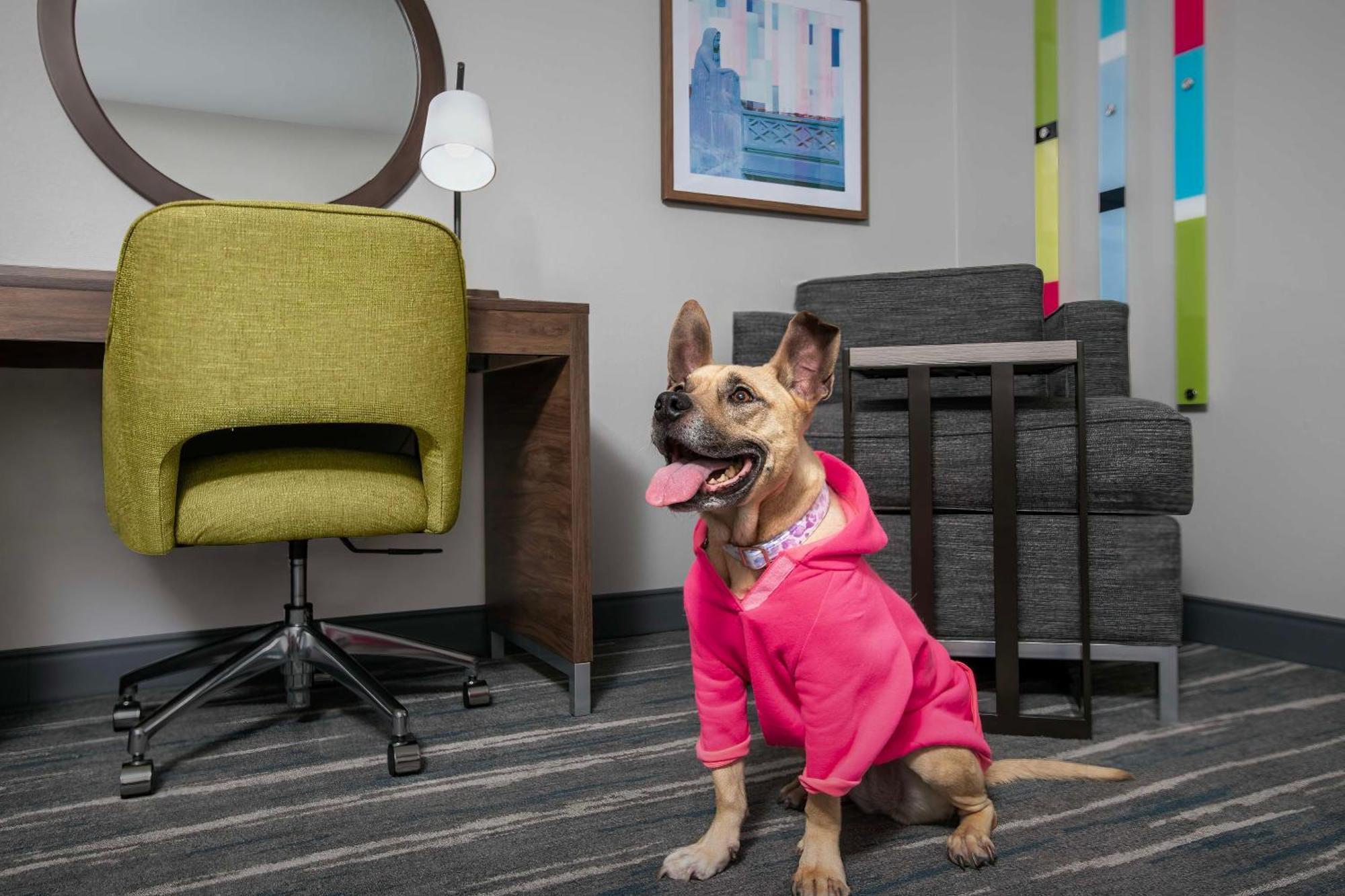 Hampton Inn Yorkville Dış mekan fotoğraf